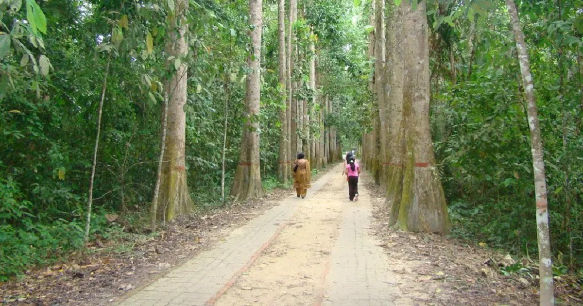 Lowarachara